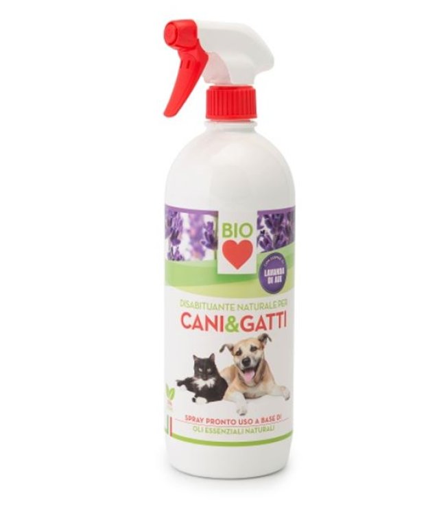 DISABITUANTE DOG/CAT LAVANDA 7
