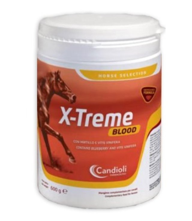 V X-TREME BLOOD 600G V X-TREME BLOOD 600G