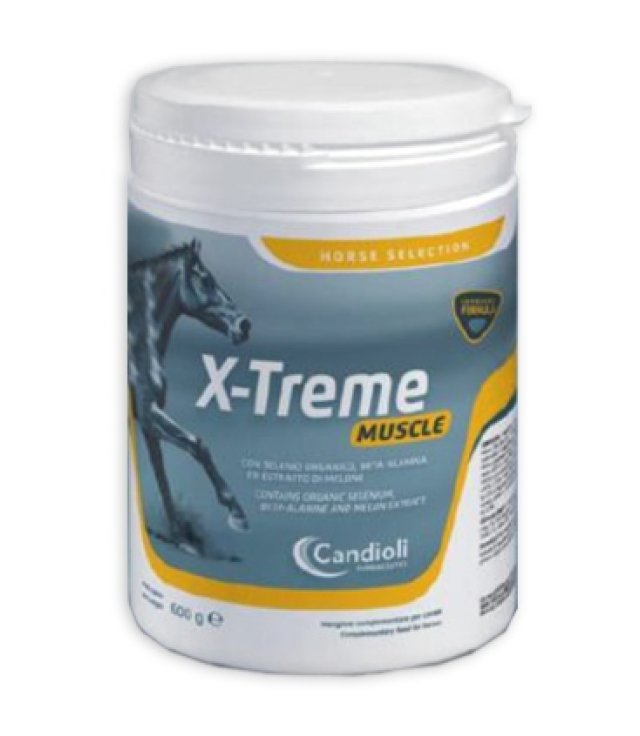 V X-TREME MUSCLE 600G CAVALLI V X-TREME MUSCLE 600G CAVALLI