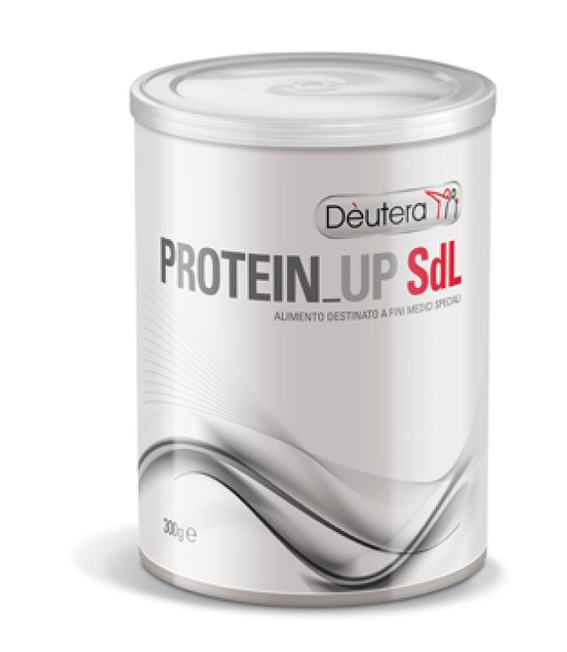 PROTEIN UP SDL            300GR      BAR