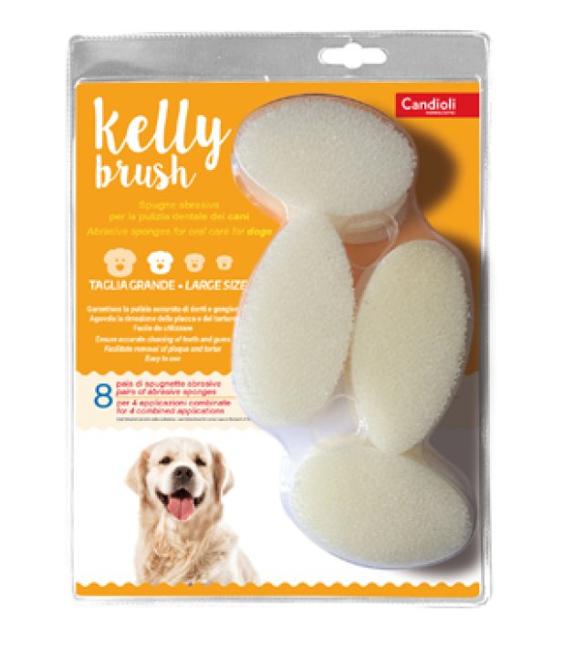 V SPUGN.KELLY BRUSH T.GRANDE 16P