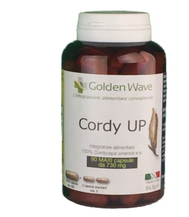 CORDY UP 90MAXI CPS CORDY UP 90MAXI CPS
