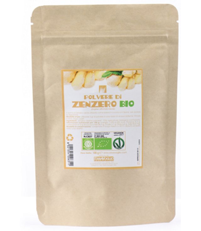 ZENZERO POLVERE BIO 100G ZENZERO POLVERE BIO 100G
