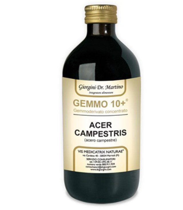 ACERO CAMP 500ML ANALCO GEM10+