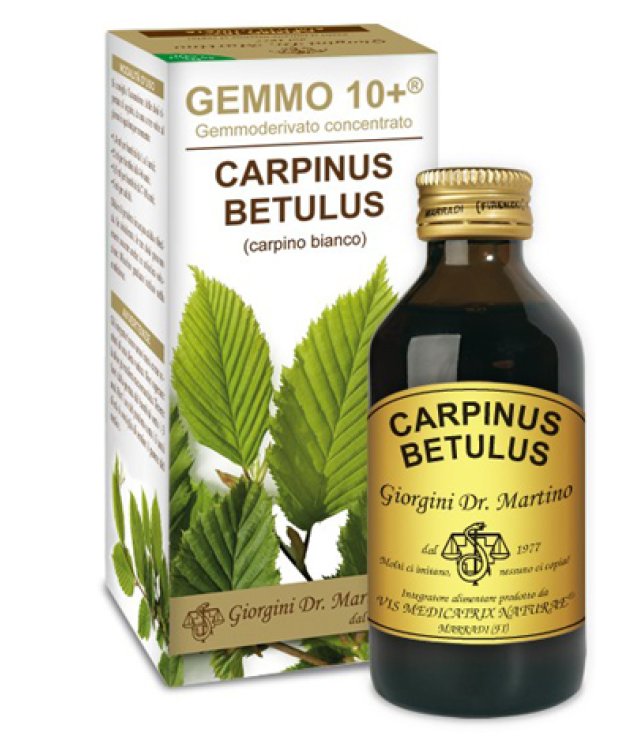 CARPINO BI 100ML ANALCO GEM10+