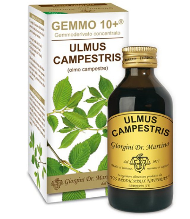 OLMO CAMP 100ML ANALCO GEM 10+