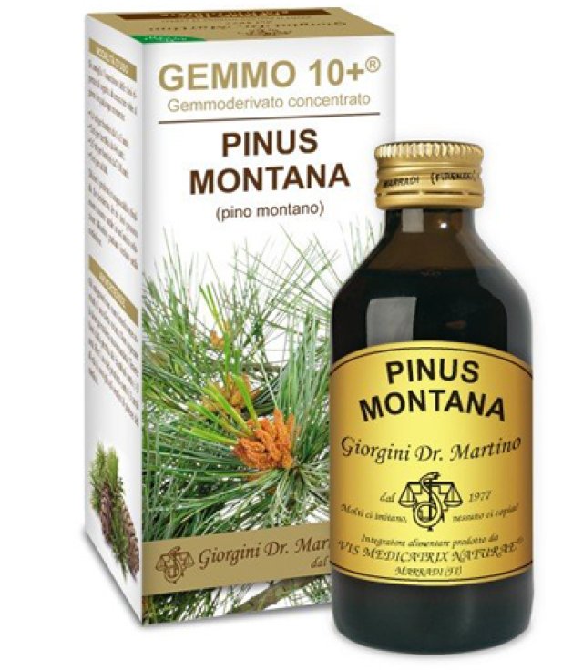 PINO MONT 100ML ANALCO GEM 10+