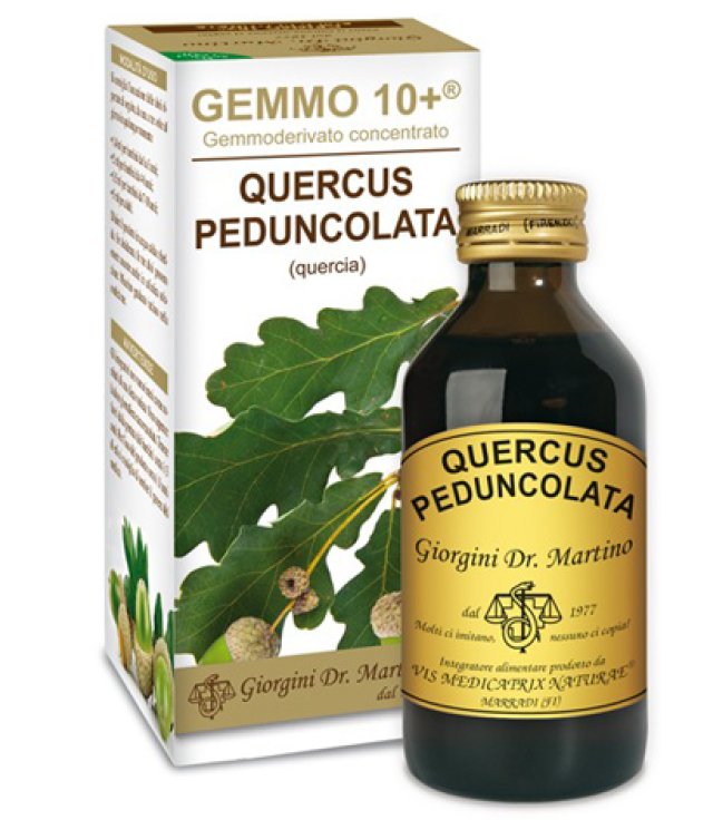 QUERCIA 100ML ANALCO GEMMO 10+