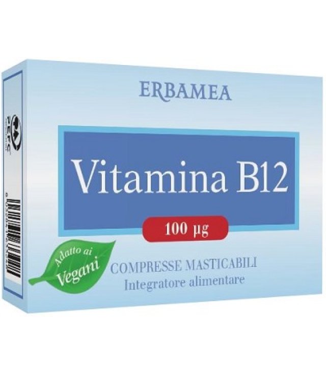 VITAMINA B12 90CPR MASTIC ERBAM