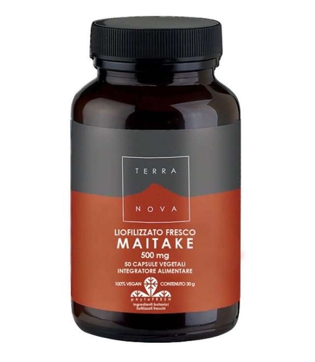 MAITAKE 500MG 50CPS TERRANOVA