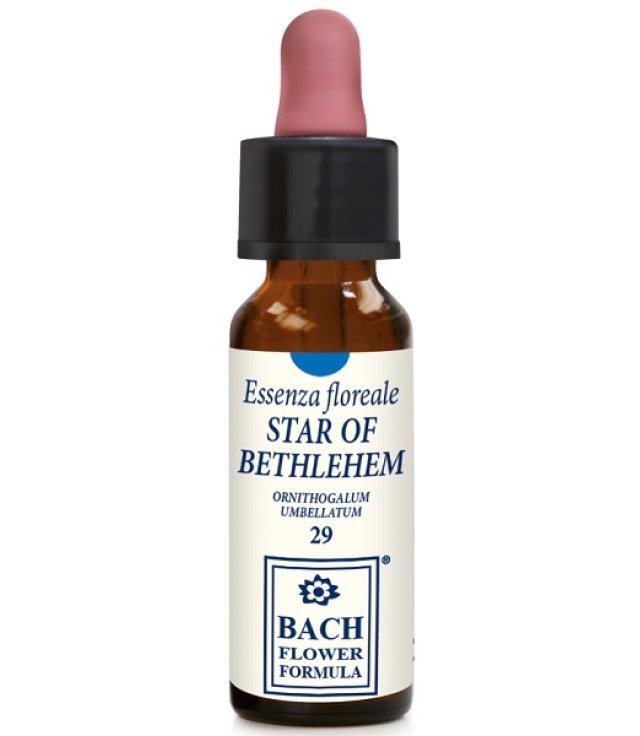 STAR OF BETHLEHEM 10ML GTT