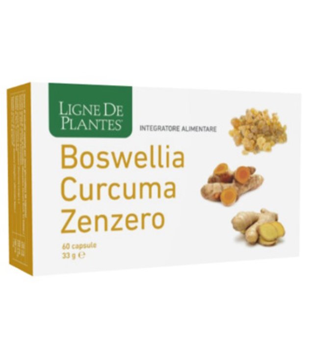 BOSWELLIA CURCUMA ZENZERO60CPS