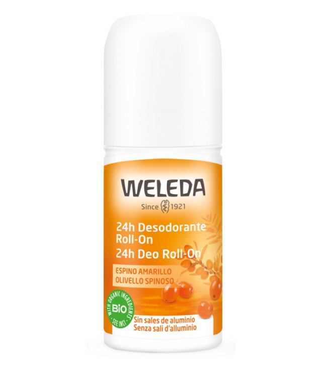 24H DEO ROLL-ON OLIVELLO SPINOSO 50 ML 24H DEO ROLL-ON OLIVELLO SPINOSO 50 ML