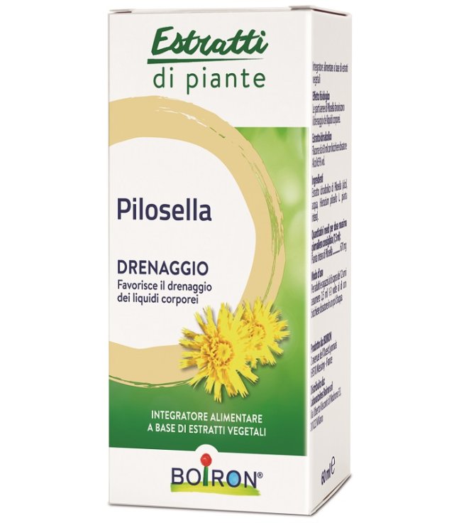 PILOSELLA INT GTT 60ML