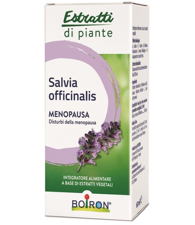 SALVIA OFFICINALIS 60ML INT