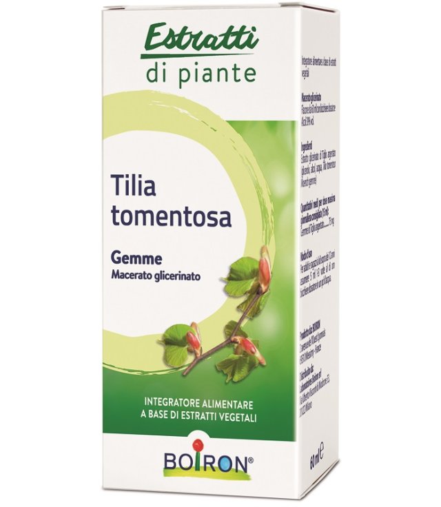 TILIA TOMENTOSA MG 60ML INT