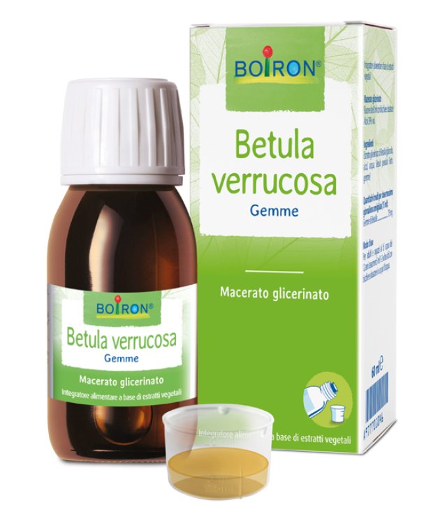 BETULA VERRUCO MG 60ML INT