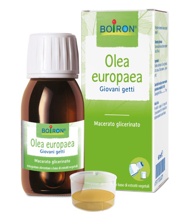 OLEA EUROPAEA MG 60ML INT