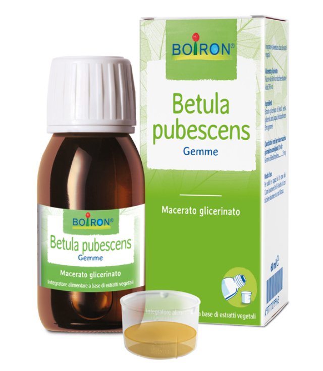 BETULA PUBESCENS MG 60ML INT