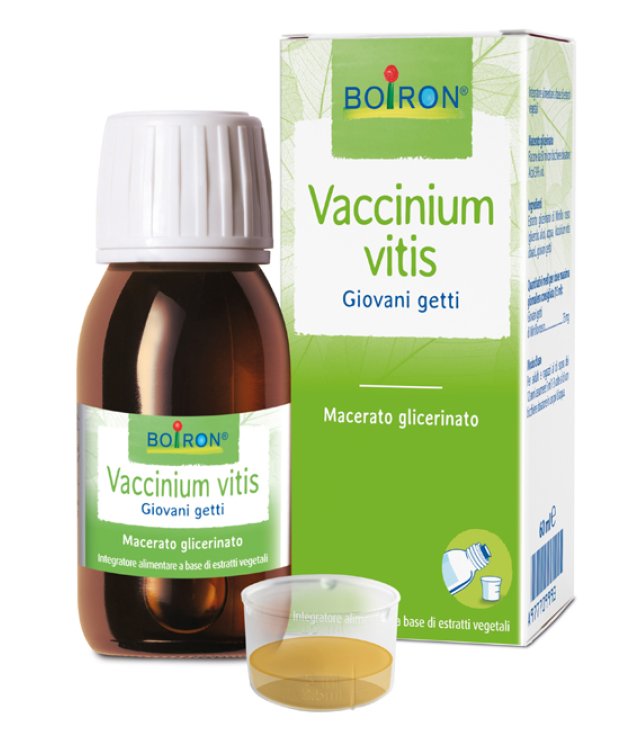 VACCINIUM VITIS MG 60ML INT