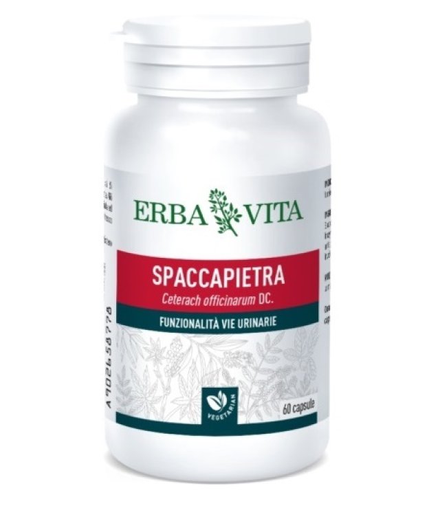 SPACCAPIETRA 60CPS N/F ERBAVIT