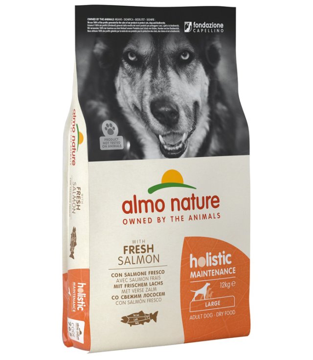 V ALMO HOL DOG LARGE SAL/RIS 12K V ALMO HOL DOG LARGE SAL/RIS 12K