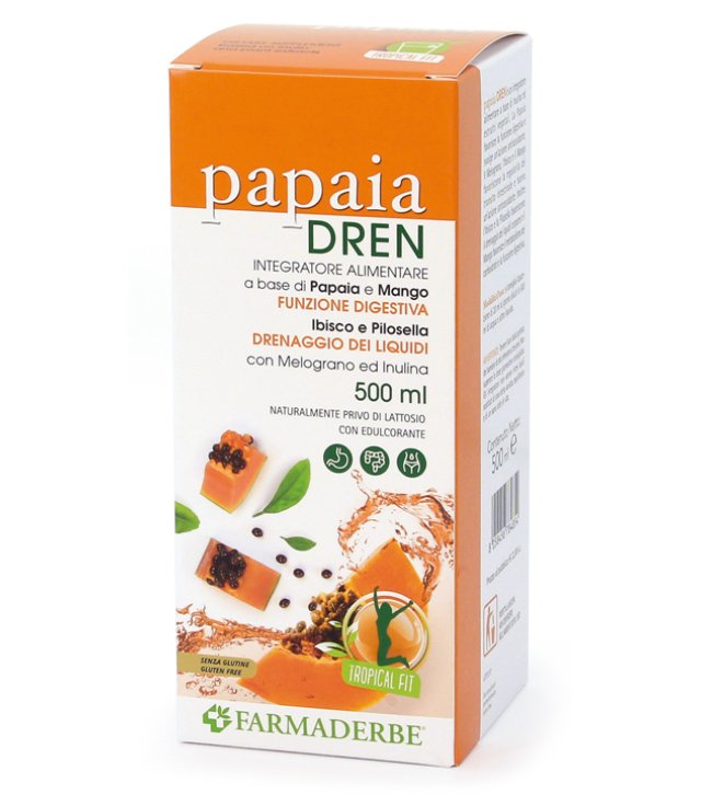 PAPAIA DREN 500ML PAPAIA DREN 500ML