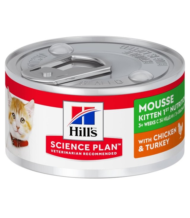 V HILLS SP KIT MOUSSE POL&TAC 82 V HILLS SP KIT MOUSSE POL&TAC 82