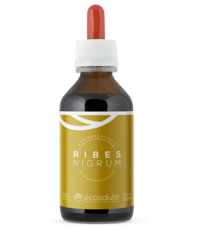 RIBES NIGRUM MG GTT 100ML ECOSAL RIBES NIGRUM MG GTT 100ML ECOSAL
