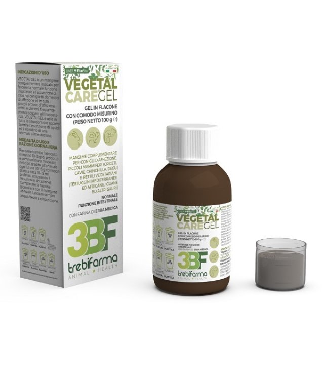 VEGETAL GEL *             100GR