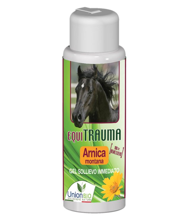 V EQUITRAUMA GEL ARNICA SOLLIEVO V EQUITRAUMA GEL ARNICA SOLLIEVO