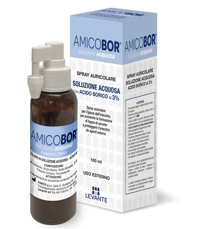 AMICOBOR SOL ACQUOSA 100ML