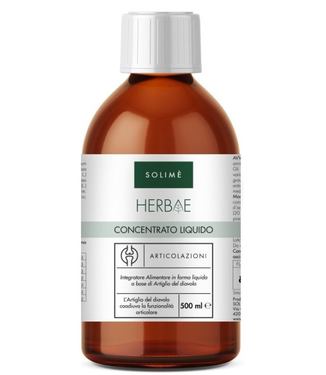 CONCENTRATO LIQUIDO ARTIC500ML S CONCENTRATO LIQUIDO ARTIC500ML S