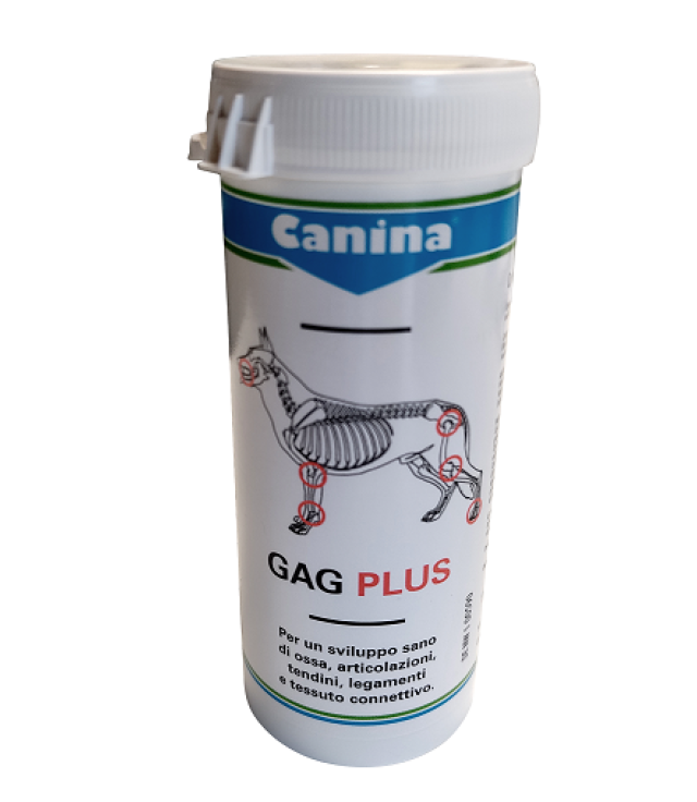 GAG PLUS                          60 CPR