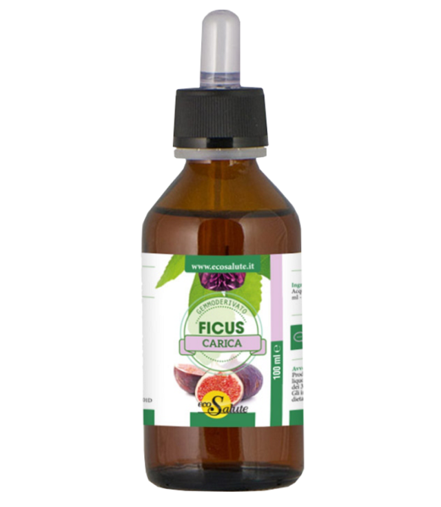FICUS CARICA MG GTT 100ML ECOSAL