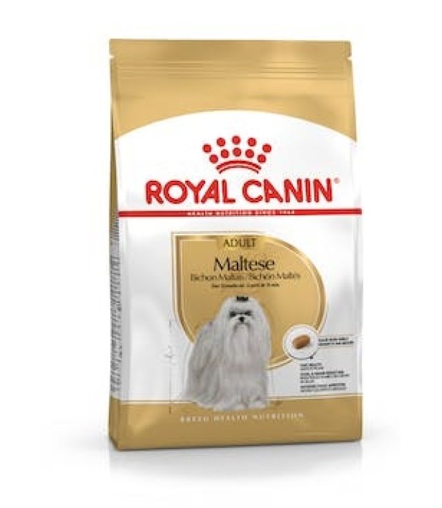 V RC DOG MALTESE AD 500GR V RC DOG MALTESE AD 500GR