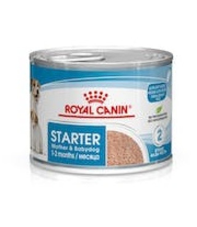 V R.C.WET STARTER 195GR UMIDO(CU