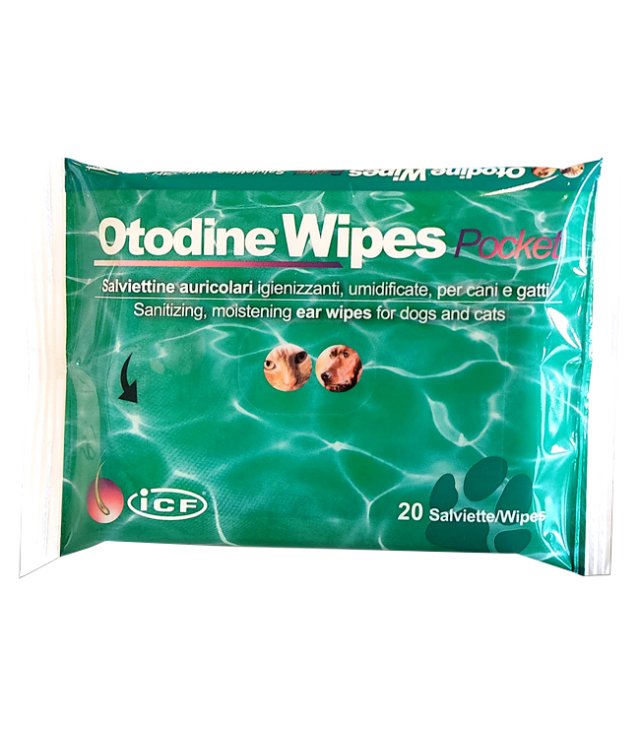 OTODINE WIPES POCKET 20PZ