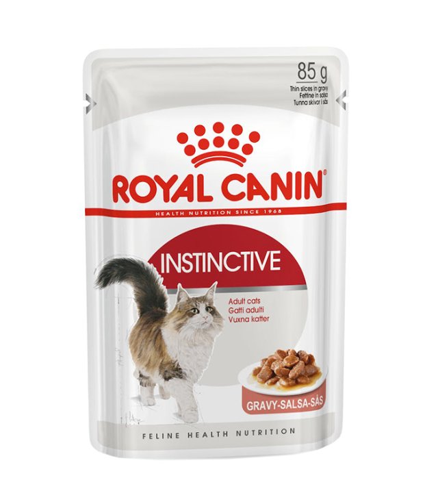 V RC CAT ADULT ISTINCTIVE 8