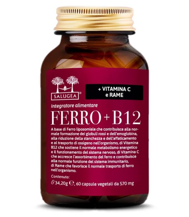 FERRO+B12 SALUGEA 60CPS