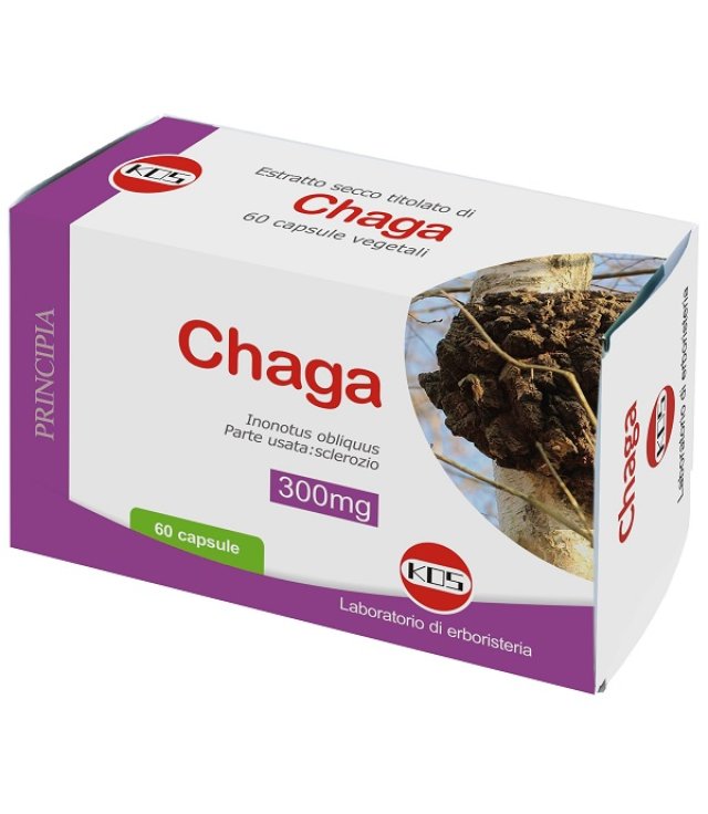 CHAGA ESTRATTO SECCO TIT 60CPS CHAGA ESTRATTO SECCO TIT 60CPS