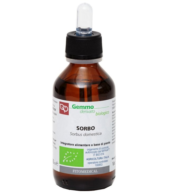 SORBO MG BIO 100ML