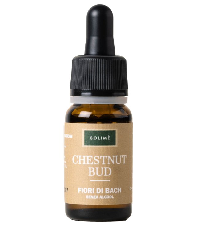 CHESTNUT BUD 10ML