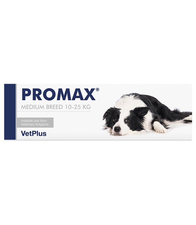 PROMAX MEDIUM BREED 18ML