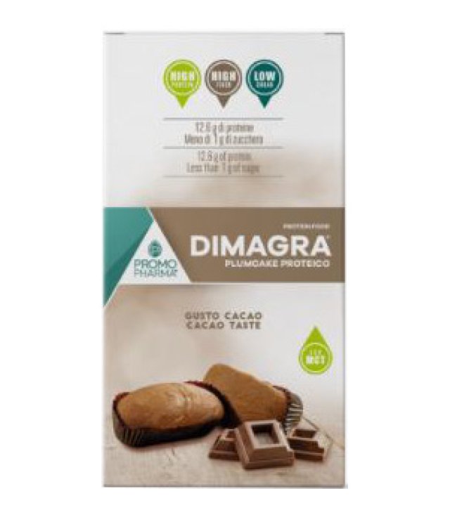 DIMAGRA PLUMCAKE CIOCCOLATO