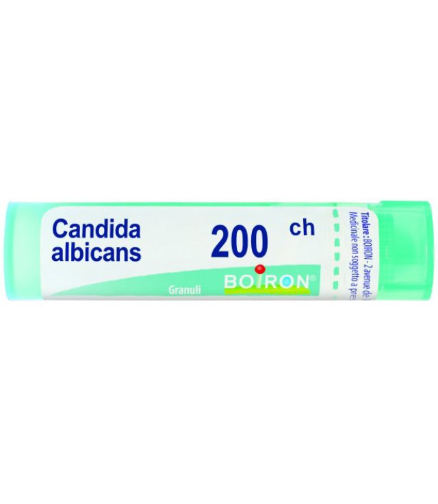 CANDIDA ALBICANS 200CH GR