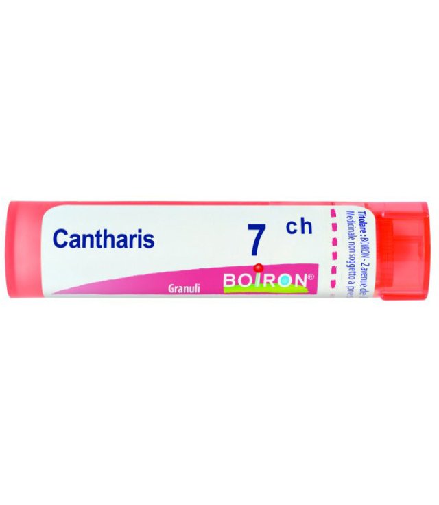 CANTHARIS 7CH GR