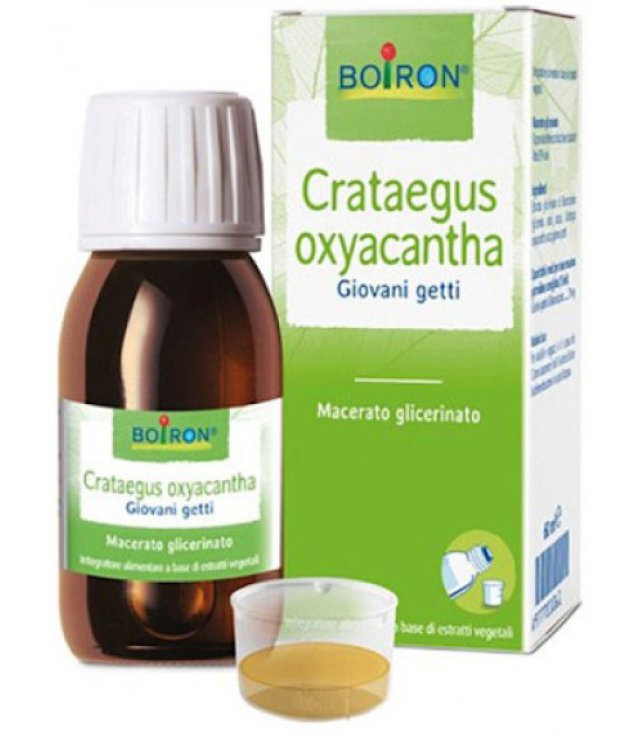 CRATAEGUS OXYACANTHA 60ML TM