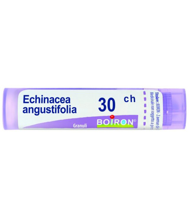 ECHINACEA ANGUST 30CH GR