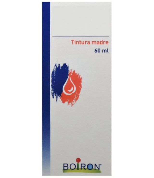 HYPERICUM PERFOR 60ML TM